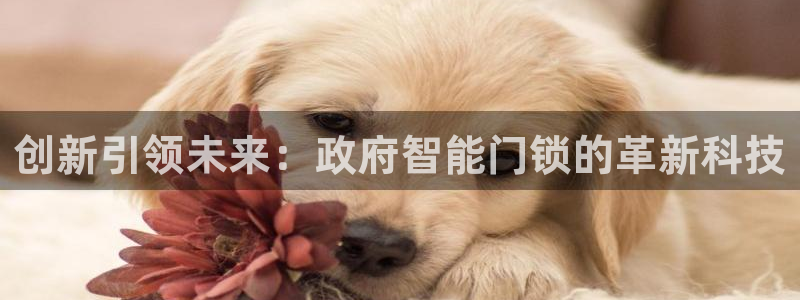 开丰娱乐开户：创新引领未来：政府智能门锁的革新科技