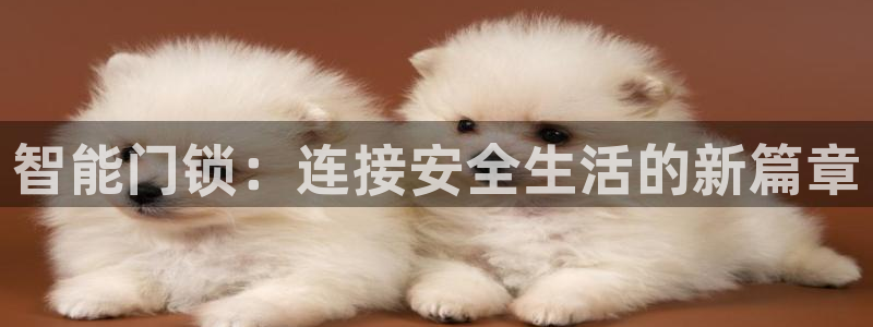 开丰娱乐上7O667：智能门锁：连接安全生活的新篇章