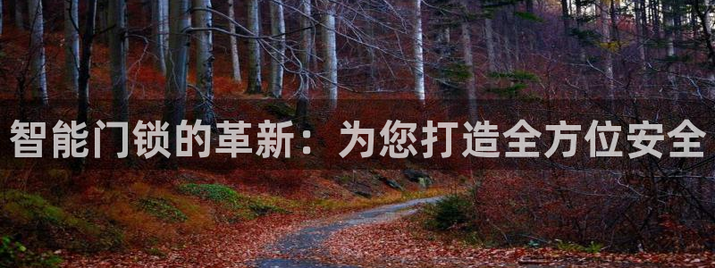 开丰娱乐官网平台电话：智能门锁的革新：为您打造全方位安全
