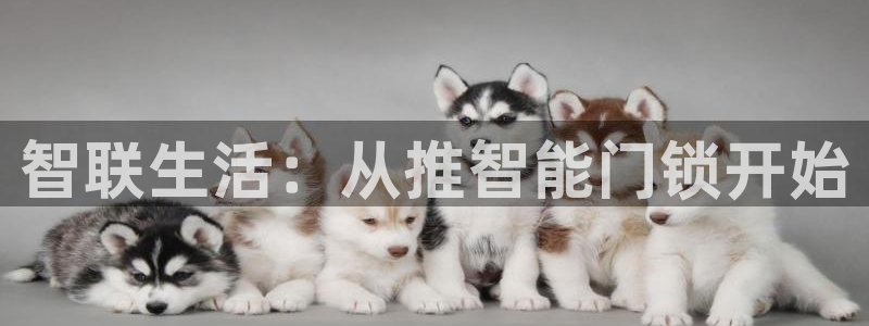 开丰娱乐行业恢复时间：智联生活：从推智能门锁开始