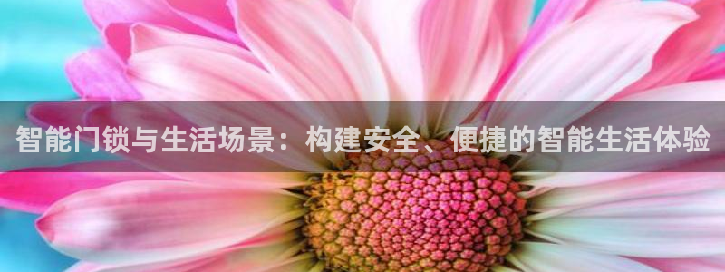 开丰娱乐平台提现失败：智能门锁与生活场景：构建安全、便捷的智