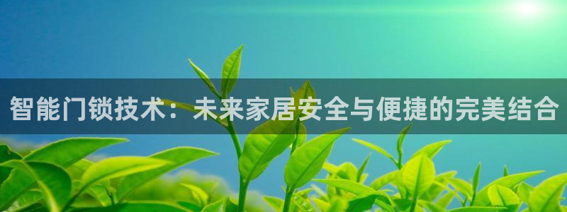 开丰娱乐趣 7O935：智能门锁技术：未来家居安全与便捷的完