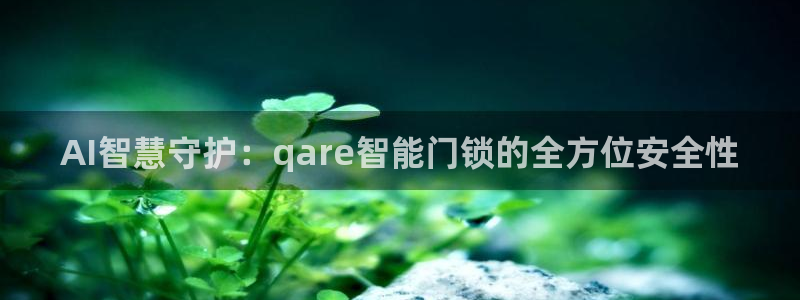 开丰娱乐官网平台登录：AI智慧守护：qare智能门锁的全方位