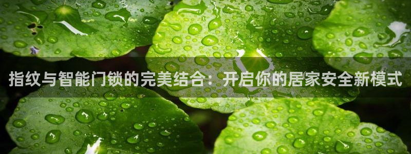 开丰娱乐下7O667：指纹与智能门锁的完美结合：开启你的居家