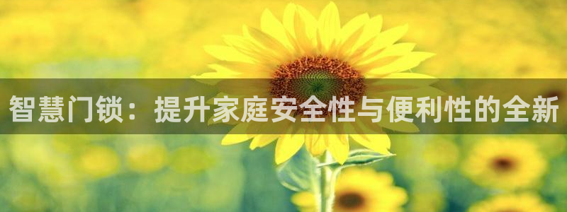 开丰娱乐下7O667：智慧门锁：提升家庭安全性与便利性的全新