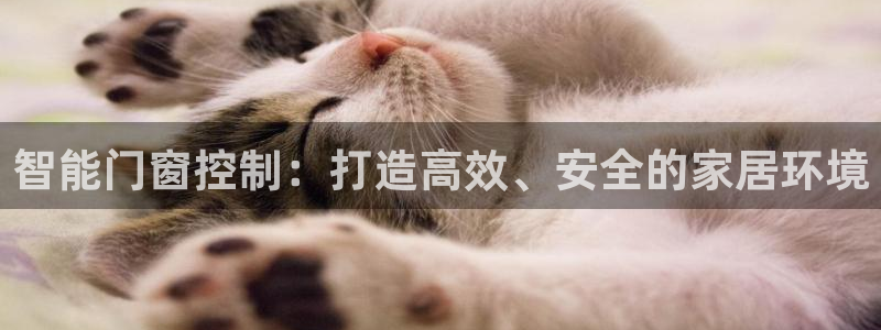 开丰娱乐网站官网首页：智能门窗控制：打造高效、安全的家居环境