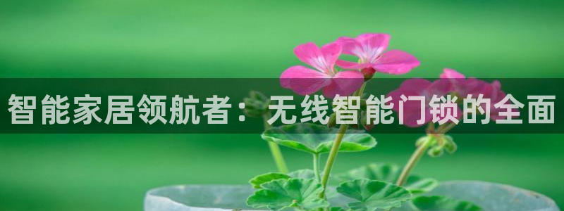 开丰娱乐平台提现失败：智能家居领航者：无线智能门锁的全面