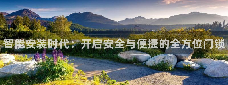开丰娱乐登入地址在哪里：智能安装时代：开启安全与便捷的全方位