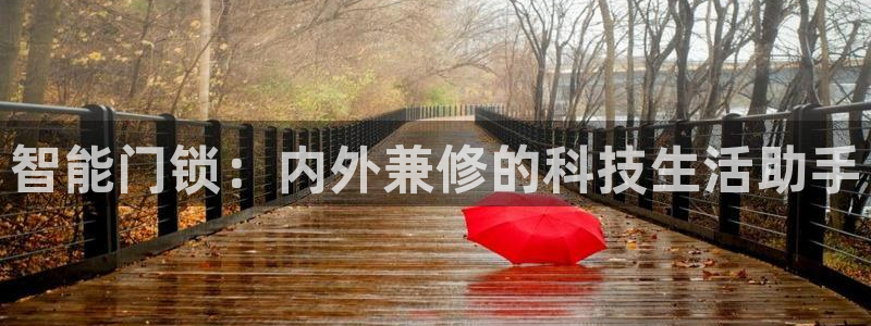 开丰娱乐咋7O777：智能门锁：内外兼修的科技生活助手