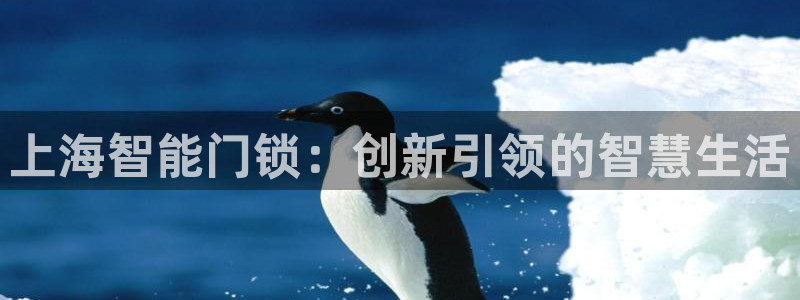 开丰娱乐趣 7O935：上海智能门锁：创新引领的智慧生活