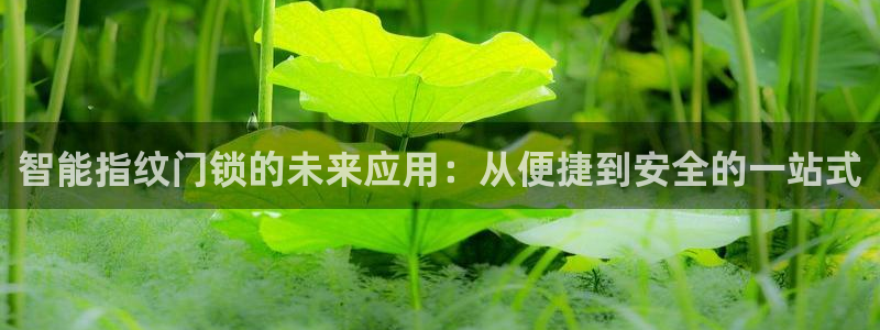 开丰娱乐官网最新消息：智能指纹门锁的未来应用：从便捷到安全的