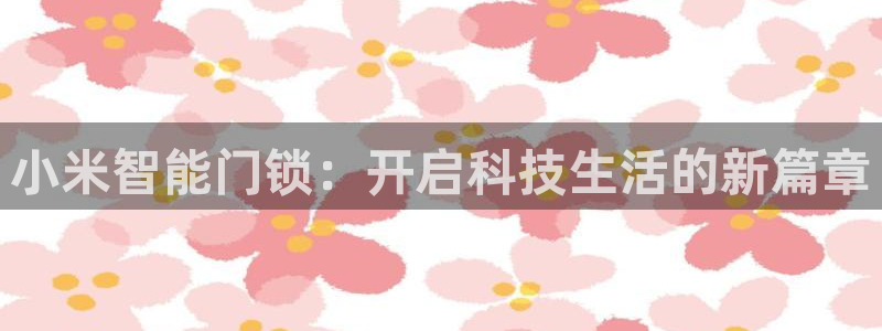 开丰娱乐月：小米智能门锁：开启科技生活的新篇章