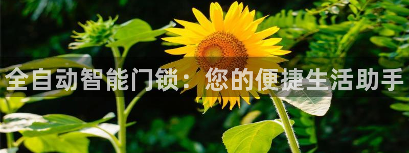 开丰娱乐平台登录网址：全自动智能门锁：您的便捷生活助手
