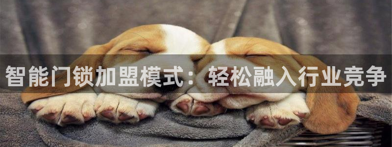 开丰娱乐不开了吗：智能门锁加盟模式：轻松融入行业竞争