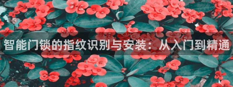 开丰娱乐登录平台下载：智能门锁的指纹识别与安装：从入门到精通