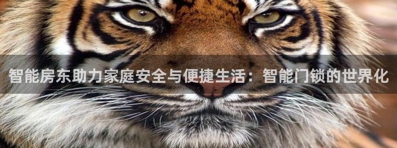 开丰娱乐登陆地址：智能房东助力家庭安全与便捷生活：智能门锁的