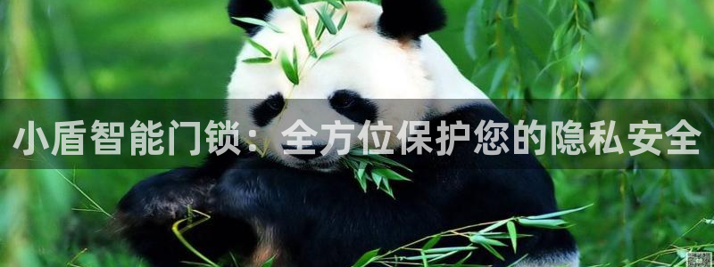 开丰娱乐登录平台：小盾智能门锁：全方位保护您的隐私安全