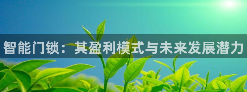 开丰娱乐怎么开转点：智能门锁：其盈利模式与未来发展潜力