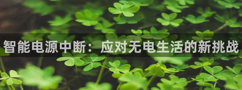 开丰娱乐测速：智能电源中断：应对无电生活的新挑战