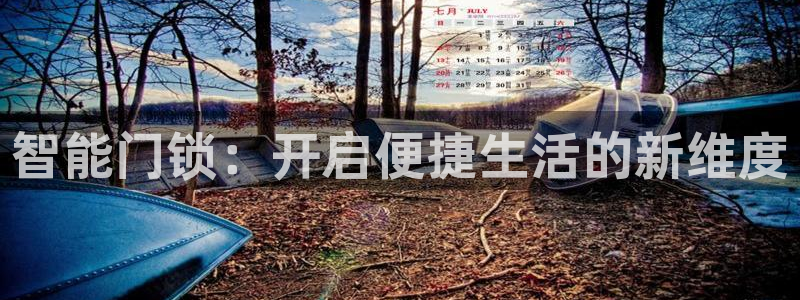 开丰娱乐测速：智能门锁：开启便捷生活的新维度