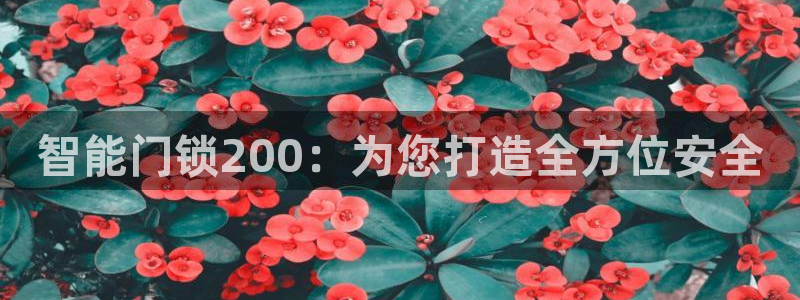 开丰娱乐日7O667：智能门锁200：为您打造全方位安全