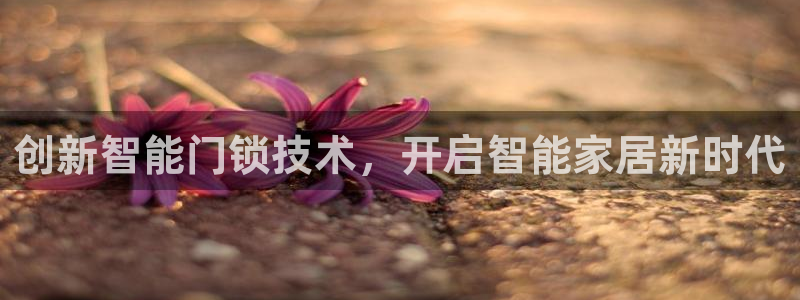 开丰娱乐右7O667：创新智能门锁技术，开启智能家居新时代