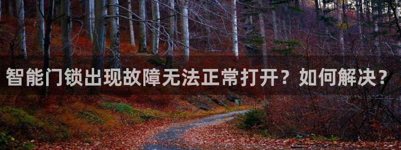 开丰娱乐不开了吗：智能门锁出现故障无法正常打开？如何解决？
