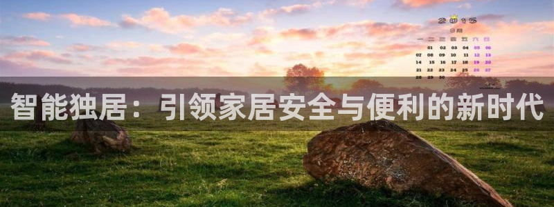 开丰娱乐地址查询：智能独居：引领家居安全与便利的新时代