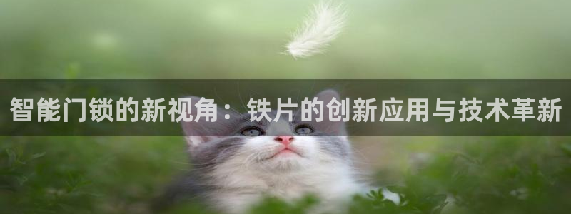 开丰娱乐上7O667