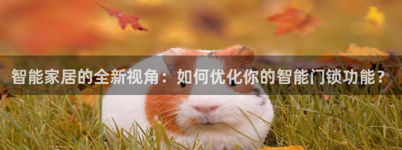 开丰娱乐登入地址在哪儿：智能家居的全新视角：如何优化你的智能