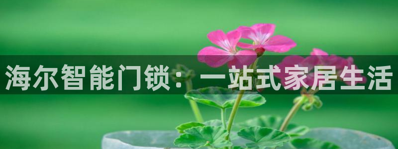 开丰娱乐登录注册：海尔智能门锁：一站式家居生活