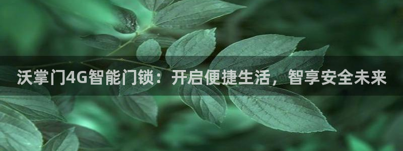 开丰娱乐注册资金多少：沃掌门4G智能门锁：开启便捷生活，智享