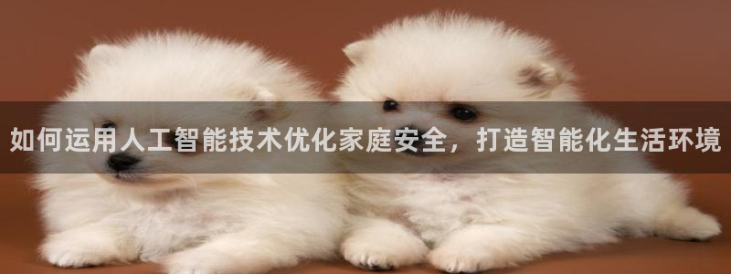 开丰娱乐开户：如何运用人工智能技术优化家庭安全，打造智能化生