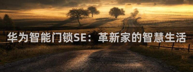 开丰娱乐官网平台电话：华为智能门锁SE：革新家的智慧生活