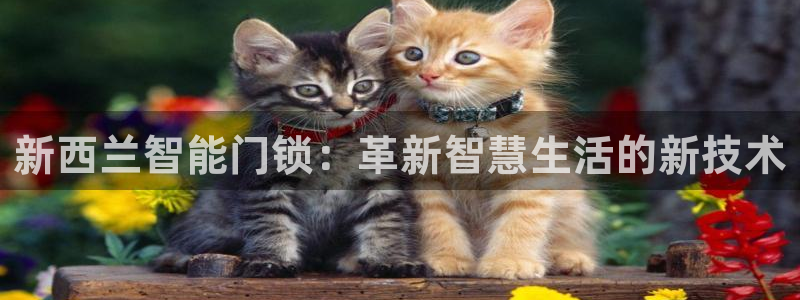 开丰娱乐左：新西兰智能门锁：革新智慧生活的新技术