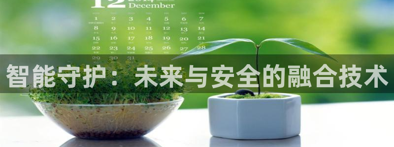 开丰娱乐官网平台下载：智能守护：未来与安全的融合技术