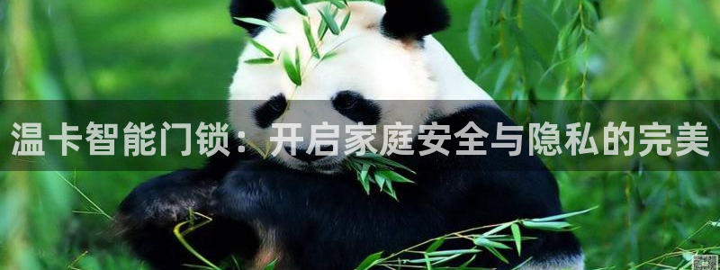 开丰娱乐网站官网首页：温卡智能门锁：开启家庭安全与隐私的完美