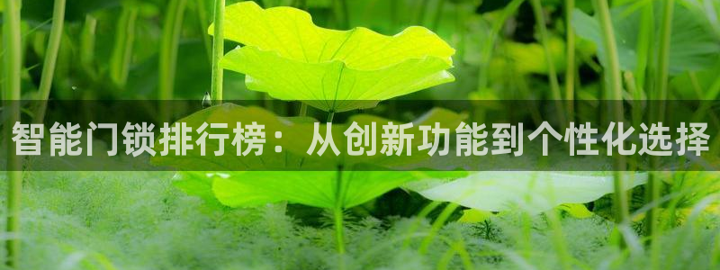 开丰娱乐登陆：智能门锁排行榜：从创新功能到个性化选择