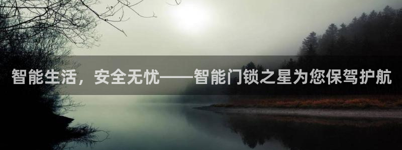 开丰娱乐乙833_43：智能生活，安全无忧——智能门锁之星为