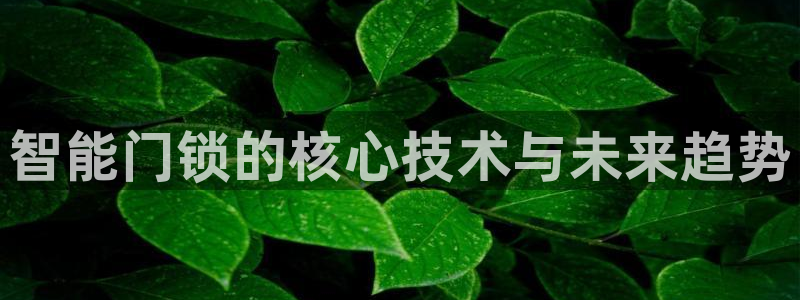 开丰娱乐登陆地址：智能门锁的核心技术与未来趋势