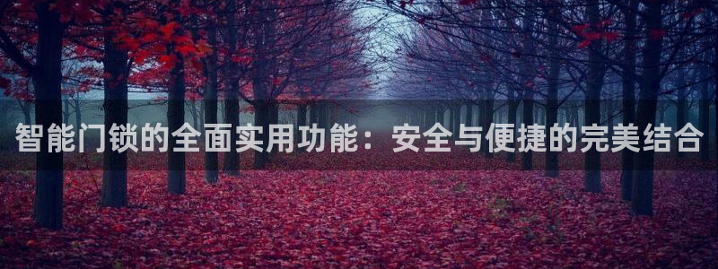 开丰娱乐网官网注册入口：智能门锁的全面实用功能：安全与便捷的