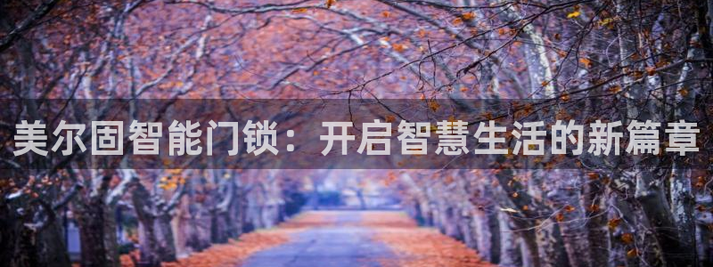 开丰娱乐左：美尔固智能门锁：开启智慧生活的新篇章