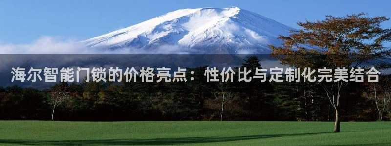开丰娱乐趣 7O935：海尔智能门锁的价格亮点：性价比与定制