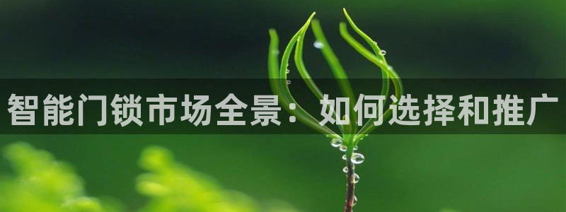 开丰娱乐官网登录平台：智能门锁市场全景：如何选择和推广