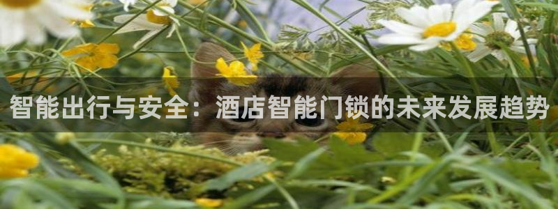 开丰娱乐日7O667：智能出行与安全：酒店智能门锁的未来发展