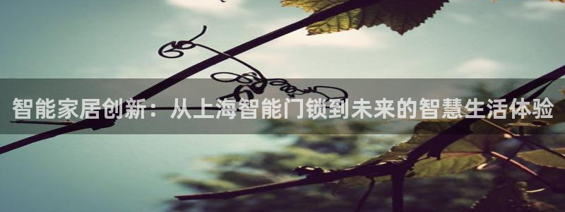 开丰娱乐线路：智能家居创新：从上海智能门锁到未来的智慧生活体