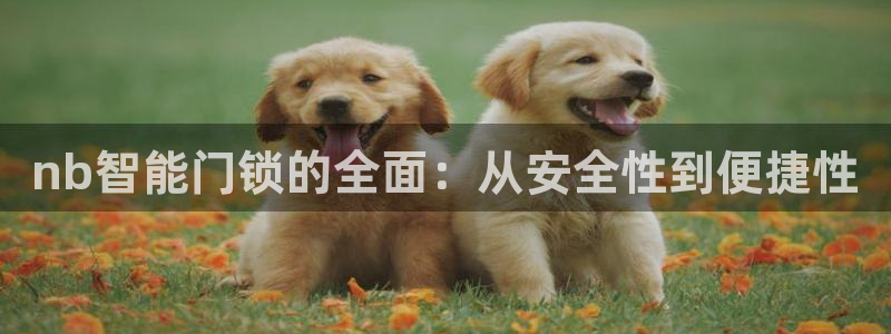 开丰娱乐注册登录不了：nb智能门锁的全面：从安全性到便捷性