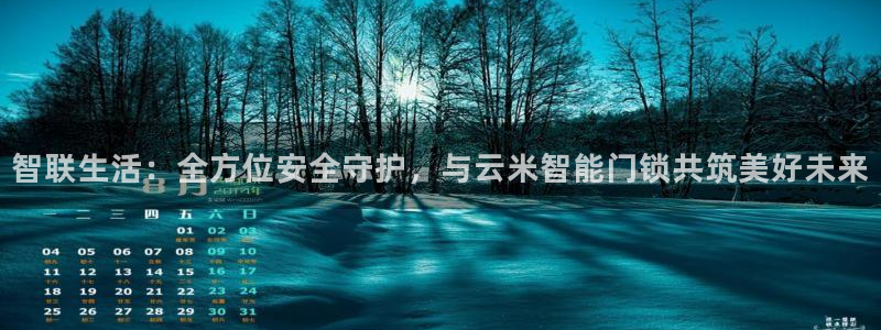 圩丰刚开的娱乐场所：智联生活：全方位安全守护，与云米智能门锁