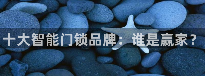 开丰娱乐官网登录平台：十大智能门锁品牌：谁是赢家？