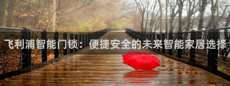 开丰娱乐左7O667：飞利浦智能门锁：便捷安全的未来智能家居